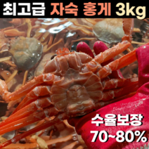 산지직송 동해안 속초 자숙 홍게 3kg 10미 4차선별 수율 70~80% 보장, 자숙홍게 3kg (10미)