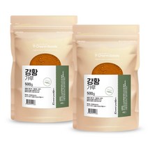 수용성 강황가루 커큐민 인도산 순수 분말 500g 2팩
