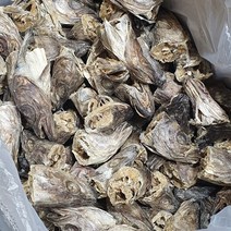 오늘의바다 육수용 황태머리 대관령 건조, 300g(6두내외)