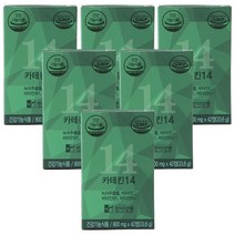 한미양행 카테킨 14 녹차 추출물 다이어트 보조제 700mg 6박스