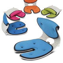 [오리백 의자] 프리미엄 바른 자세교정의자 척추 요추 허리 골반 디스크 체형 교정 브랜드K인증 / 골반 축은 정확하게 등은 자유롭게! 월수금화목토의자, 오리백 베이직형-스카이블루