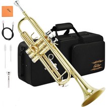 일본직구 이스타르 트럼펫 Bb조 Trumpet 초보자 청결 액세서리 첨부 (니켈 도금), 골드 황동