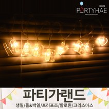 (주)파티해 파티 가랜드2 D-G - 생일 프로포즈 기념일 캠핑 홈데코 조화 여름 축하 환영, F15.LED알파벳건전지전구가랜드-윌유메리미