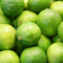 생 라임 1kg (약10과) 멕시코산 가락시장 직송, 라임 1kg(약12과)