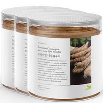 닥터비옴 횡성 더덕분말 150g x 3개, 1세트 (3개입)