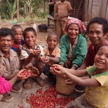 동티모르 커피 티모르테이블 에르메라 그린, 100g, 커피메이커
