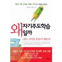 [개똥이네][중고-상] 왜 자기주도학습일까