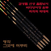 [신제품]명작 그곳에머무리막대찌 유터 감성돔 흘림낚시 추천 바다양어장, 1.0