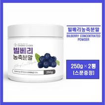 빌베리 분말 가루 파우더 오스트리아산 빌베리 농축액 100% 안토시아닌 폴리페놀 고함량 온가족 눈 건강 추천, 2통, *빌베리 분말 250g (스푼증정)