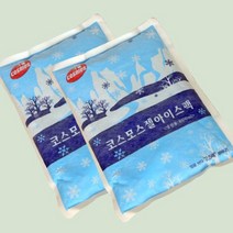라이펀 [라이펀]코스모스 부직포 아이스팩[800ML]*2개, /없음