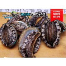 (당일발송 친환경포장)완도전복생산자협동조합 대전복 1kg(10~11미), 대전복 1kg(10-11미)
