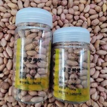[한스푼푸드] 땅콩씨앗 100g (110립내외) 씨눈이 살아있는 땅콩종자, 땅콩씨앗 100g(120립 내외)