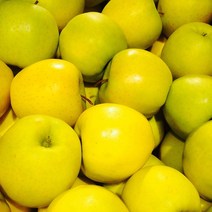 시나노골드 황금사과 노란사과 2kg 3kg 5kg, 1박스, 쥬스용(저가형)카페사장님추천 6kg