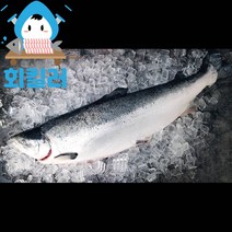 블루씨푸드 노르웨이 생연어 슬라이스, 300g, 1개