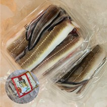 [통영직송] 통영 손질 장어 바다장어 대 특대 1kg 2kg 3kg 구이 구이용 진공 포장, 3. 자연산 바다장어 3kg(대)