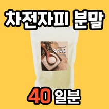 차전차 식이섬유소 질경이씨 차전피차 식이섬유 제품 식이섬유 가루 차전자 식이섬유제 자전차피 인도산