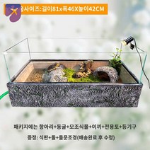 유리 용품 반수생 사육장 미니 거북이 세트 수족관, 기본