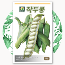 작두콩 백도두 씨앗 5립 강낭콩 곡물 종자 비넝쿨 토종, 1개