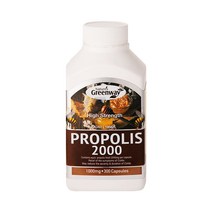 네이쳐스그린웨이 고함량 프로폴리스 2000mg 300정(10개월분), 1개, 300정