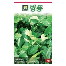 갑조네 민속특수 씨앗 모음, 방풍(씨앗), 1개