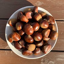 햇 알밤 약단밤 생율밤 국내산 무칼집 칼집 공주밤 칼집밤 1kg 군밤 맛밤, 22년 햇 [칼집]생율밤 1kg