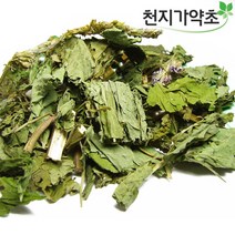 (롯데택배발송) 국산 배초향 600gX2봉 곽향 방앗잎, 2봉