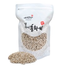 의성농산 생홍화씨 500g 국산 토종가시홍화씨 부모님선물