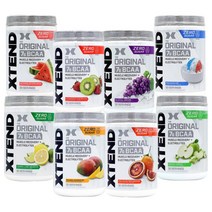 엑스텐드 BCAA 30서빙 8종 Xtend 익스텐드 리커버리, BCAA 망고 매드니스 405g