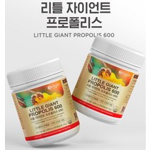 뉴질랜드 프로폴리스 영양제 PROPOLIS 력강화