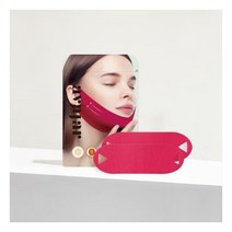 퍼펙트 브이리프팅 프리미엄 마스크 1+1