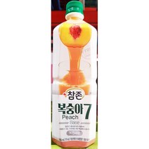 복숭아 농축액 참존 835ml x12개 과일 음료 베이스, 요고다샵3 1, 요고다샵3 1, 요고다샵3 본상품선택