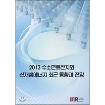 수소연료전지와 신재생에너지 최근 동향과 전망(2013), BIR, B I R Research Group 편저
