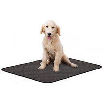 펫씨스터 강아지 빨아쓰는 반영구 배변패드 차트렁크 매트 미끄럼방지 매트 XL특대 140x100, 베이지