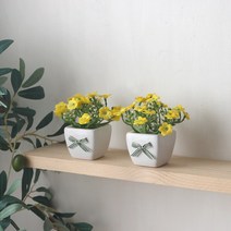인테홀릭 미니 데이지 화분(2p set)(6color), 옐로우