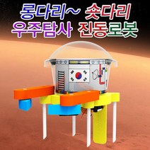 우주탐사 롱다리 숏다리 진동로봇 (5인용)전기 자석 ph 과학실습 DIY 교육 과학 실험 과학실험키트 과학키트 교구, 1개