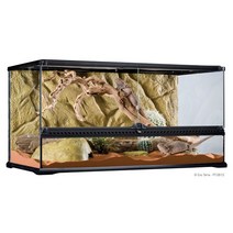 EXOTERRA 엑소테라 테라리움 사육장 90X45X45, 매장 방문