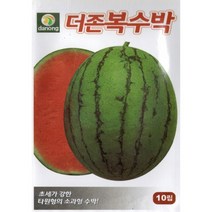 (씨앗) 복수박 - 타원형 소과형의 수박 씨앗 종자 - 10립 100립