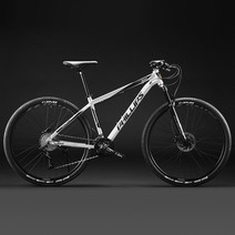 자전거 29인치 MTB 스피드바이클 팻바이크 더블 카본 수입 오프로드 입문용 풀샥 성인용, C
