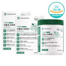 완두콩 식물성 단백질 파우더 쉐이크 2통 소이 프로틴 보충제 콩단백질 비건 가루 식물 완두 단백, 2개