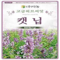 다-캣닙개박하 1g