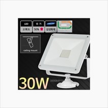 한승 고휘도 LED투광기 30W 주광색 투광조명등 철물용품/인테리어조명/LED벌브/LED전구/전구/조명/램프/LED램프/할로겐램프/LED등기구