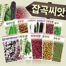 다농 콩 팥 녹두 감자 잡곡류 옥수수 종자 씨앗모음전, AQ05=검은강낭콩씨앗30g!