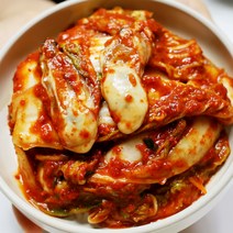 [딜맛] 강정화 셰프의 싱싱한 굴김치 굴겉절이 1kgx1통, 단품