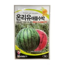 온리유 애플수박 씨앗 10립 [23년포장] 국산 미니애플수박 종자