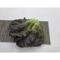 [특급] 싱싱한 적로메인 2kg (1.8~2kg) 박스