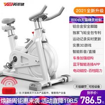 스피닝 자전거 실내 싸이클 홈트, 티몰지니/전자기제어 화이트-1