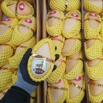 농랑부랑 직수입 프리미엄 망고 8과 5kg 선물용 보자기 포함 당일발송, 망고 5kg X 8과