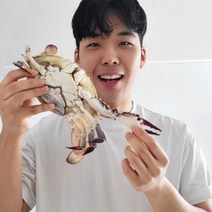 알배기 암꽃게 냉동 1kg 연평도 국산 가을 활꼬체 급냉 산지직송 제철 절단, 1kg (3~4마리 내외)