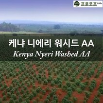 (커피생두) 2022년 뉴크롭 케냐 니에리 워시드 AA, 500g, 1개