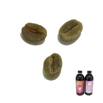 사회적기업 S12 수제 콜드브루 더치커피 블렌딩, 예가체프, 500ml 1병